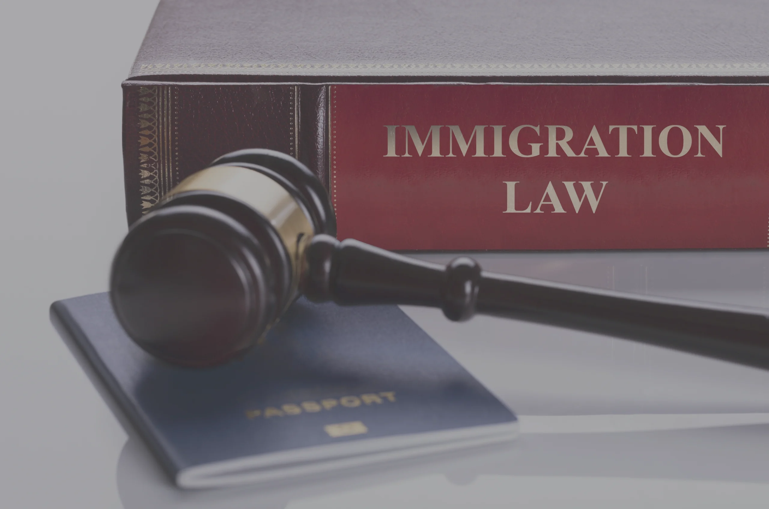 Immigration Law book and gavel